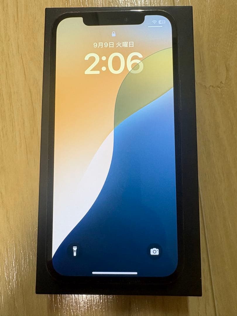 iPhone12 Pro パシフィックブルー　256GB