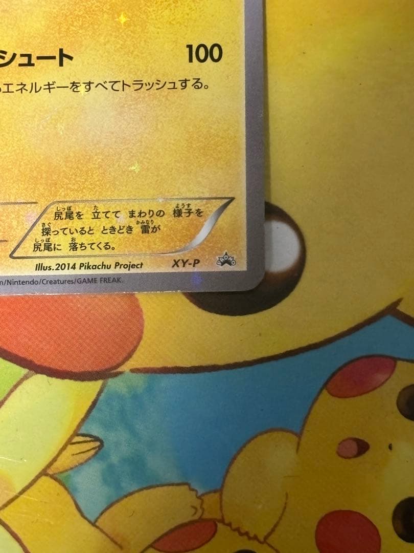 【高騰↑】XY-P ピッチのピカチュウ_Jリーグ「ファミリー Joinデイズ」