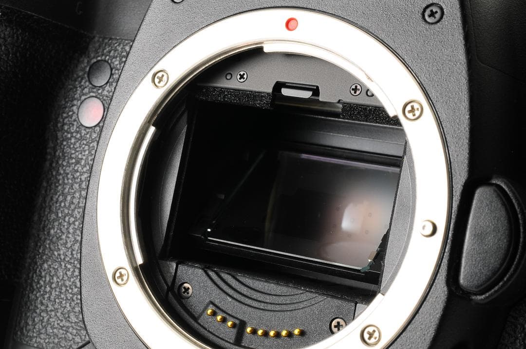 【美品】 キャノン Canon EOS 5D Mark II 2 ボディ