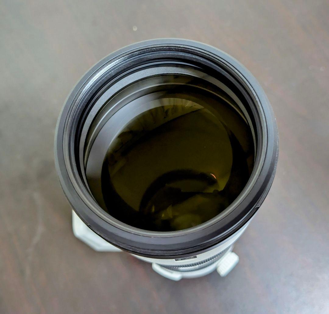 FE 200-600mm F5.6-6.3 G OSS レンズフィルター付き