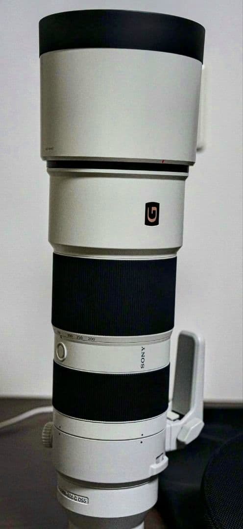 FE 200-600mm F5.6-6.3 G OSS レンズフィルター付き