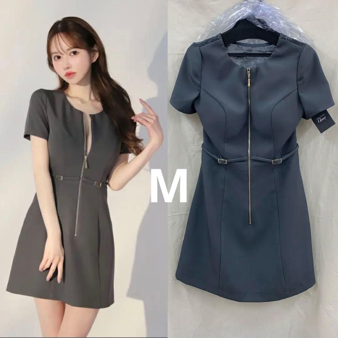 Mグレー　3795 袖　ディア　ローブドフルールグロッシー　キャバドレス