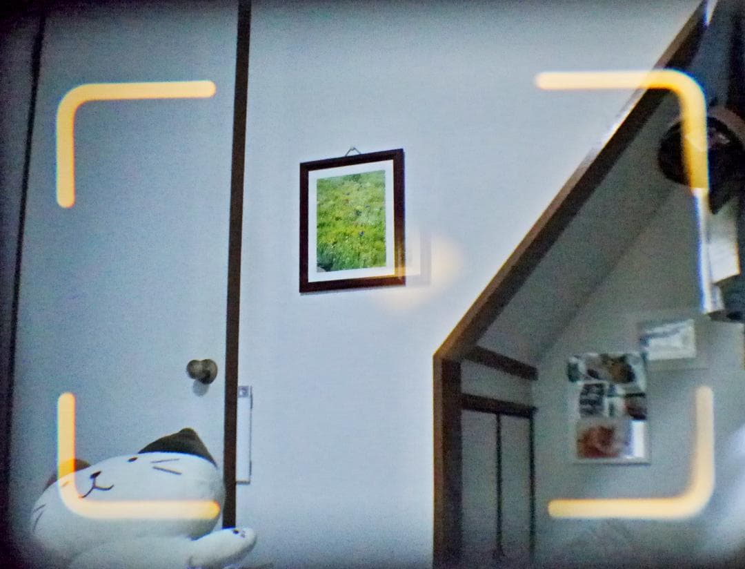 ☆ヤシカエレクトロ35 GS 【極美品・完動品・光学系分解整備済み】⑫