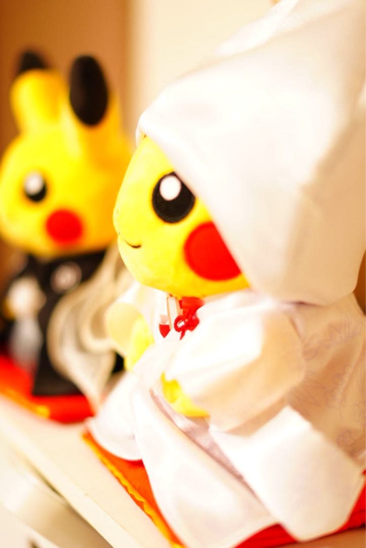 SONY FE 50mm f/1.8 単焦点レンズ