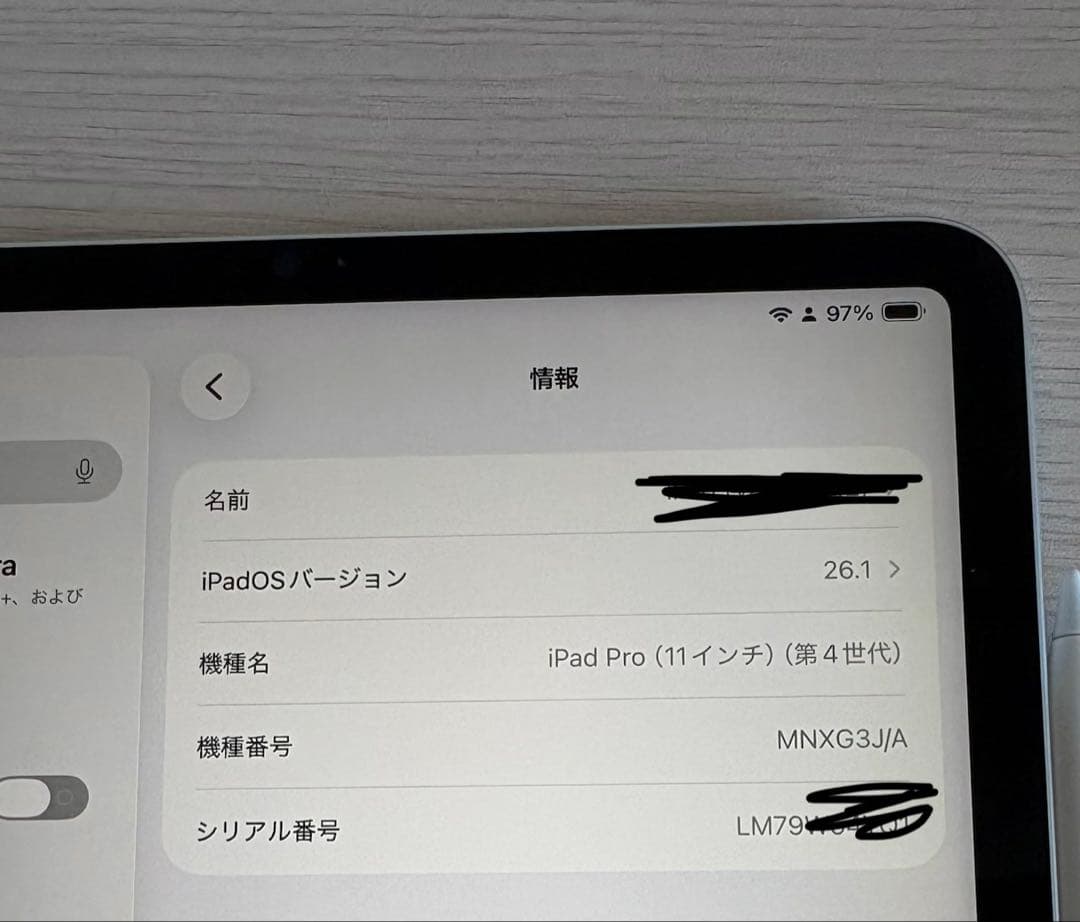 iPad Pro 11インチ 第4世代 Wi-Fiモデル 256GB