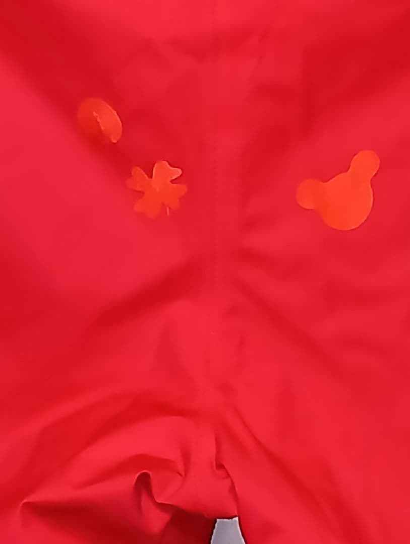 ゴールドウィンスキーウェア上下セット