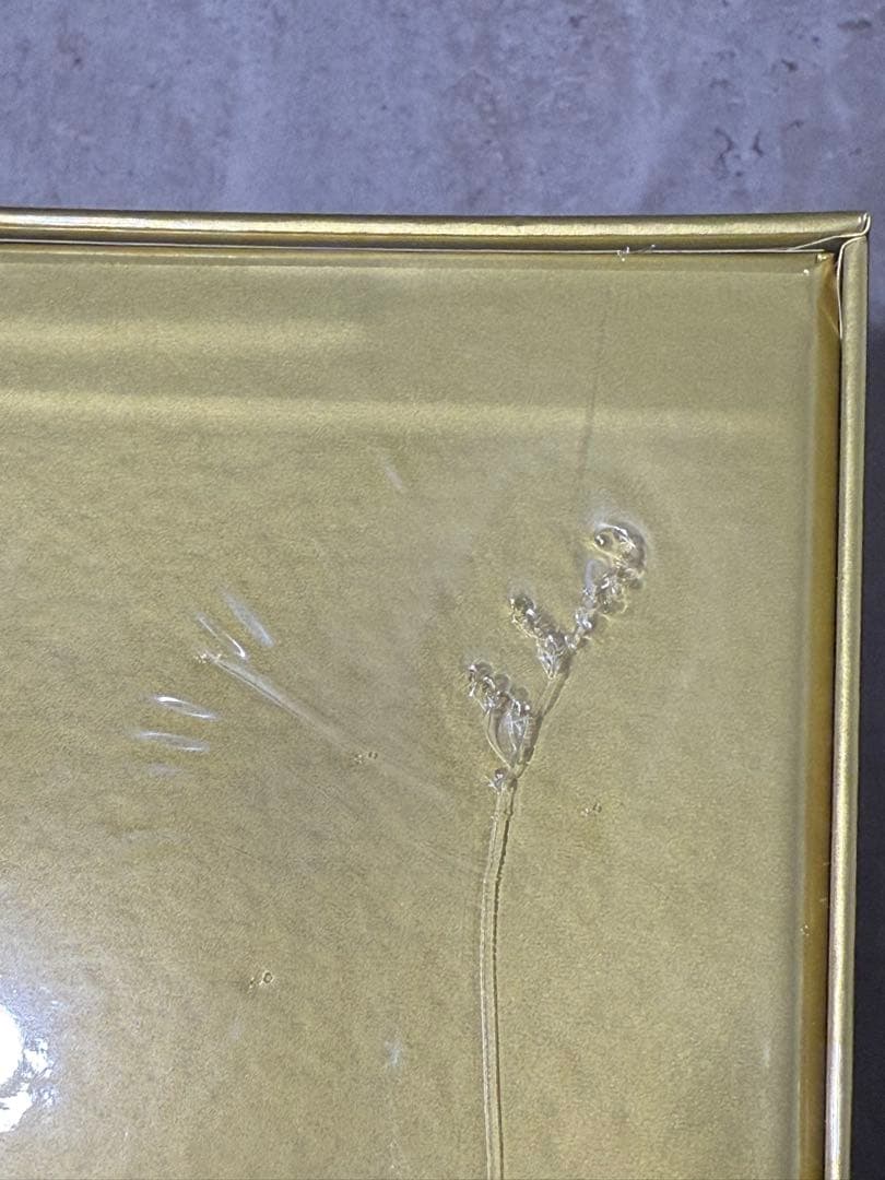 25h ゴールデンボックス ピカチュウ