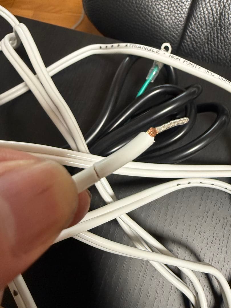 TRIANGLE BOREA 03 CONNECT スピーカー