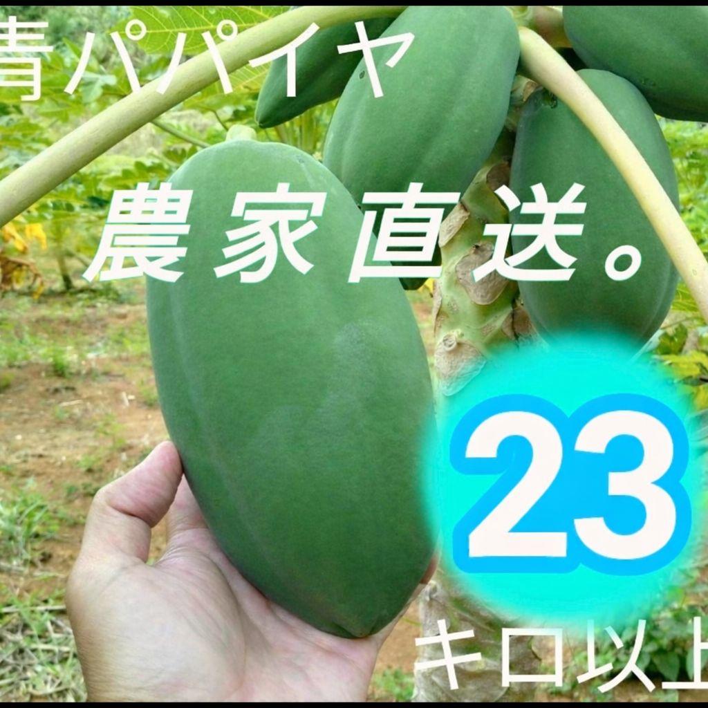 (Emi)青パパイヤ 24キロ 奄美群島産 送料込み