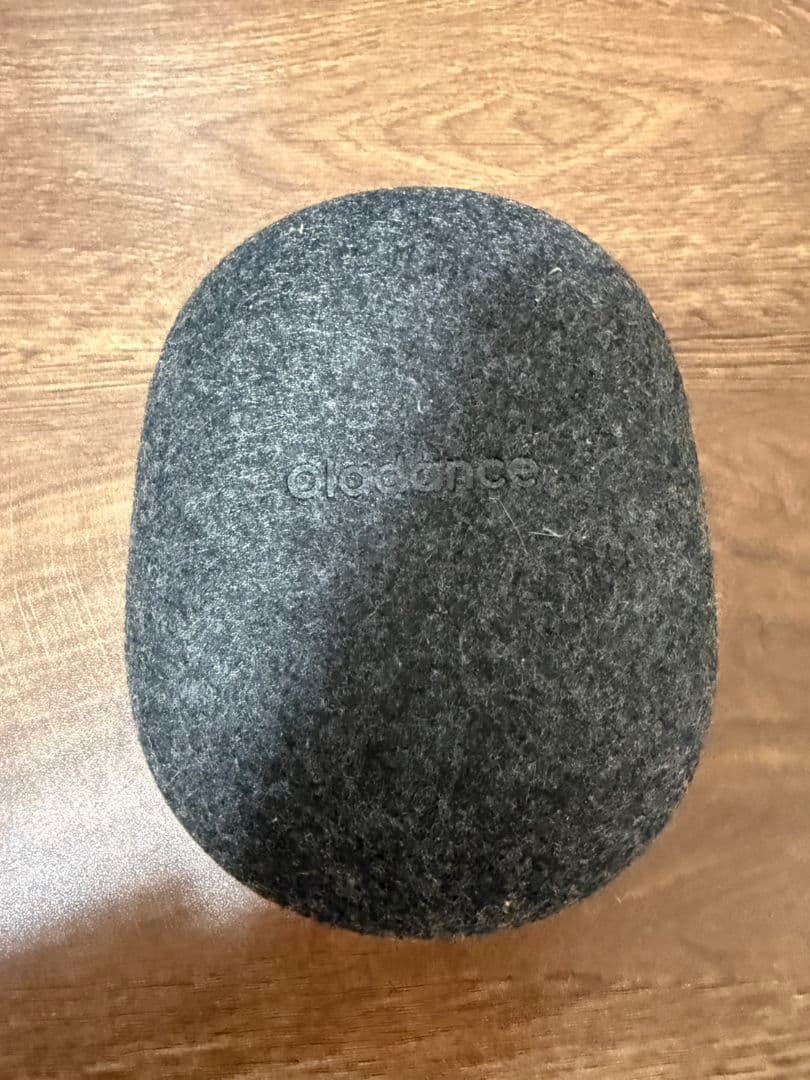 Oladance OWS Sports オープンイヤー スポーツイヤホン