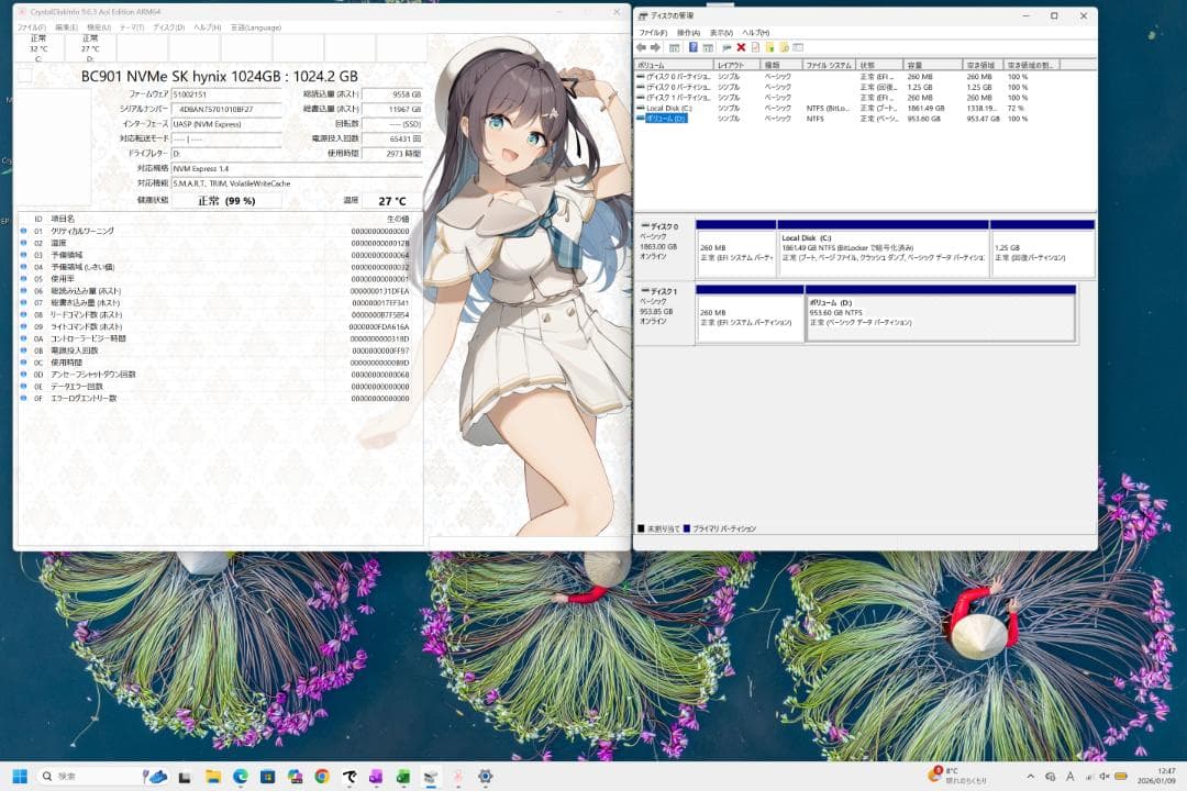 SK hynix BC901 NVMe SSD 2230 1TB 健康度99％♪