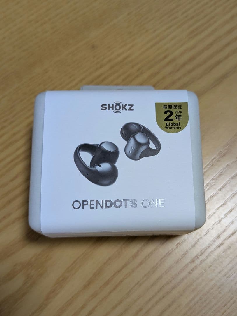 Shokz (ショックス) OPENDOTS ONE Black