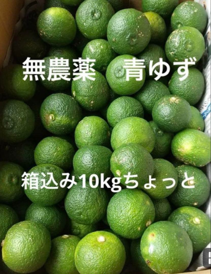 完全無農薬　青ゆず　青柚子　箱込み10kgちょっと入ります♪