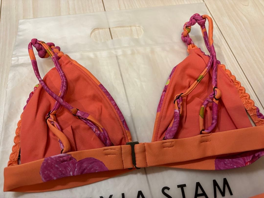 アリシアスタン水着　上下セット