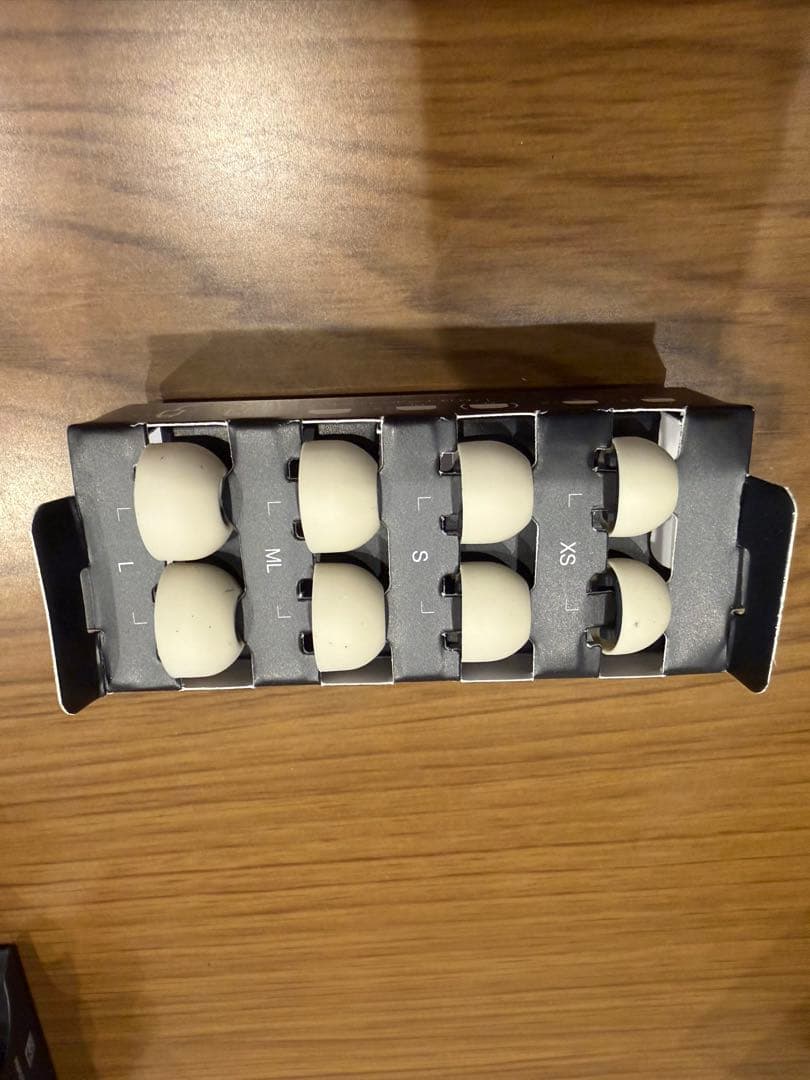 Technics EAH-AZ100 ワイヤレスイヤホン(シャンパンゴールド )