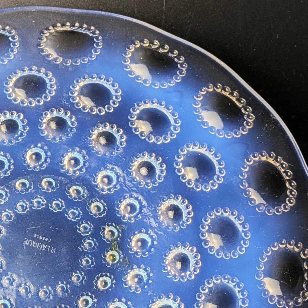 ルネ・ラリック アスター オパルセント大皿 27cm 1935頃 マルシャック