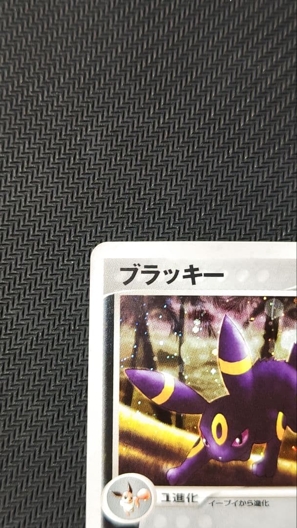 ブラッキー 2枚セット 旧裏