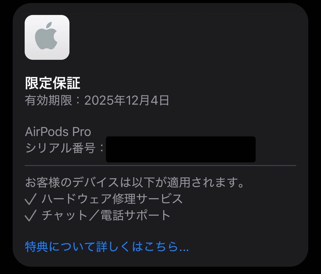 AirPods Pro （第2世代） USB-C