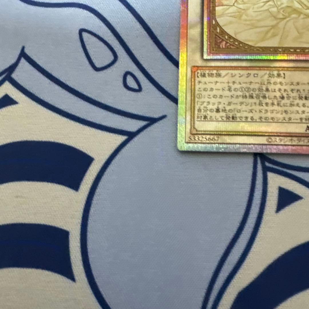 遊戯王　ガーデン・ローズ・メイデン 絵違い　プリズマ