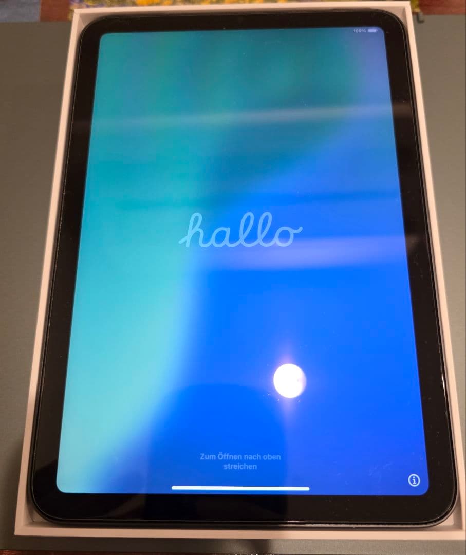 iPad mini 6 256GB Wi-Fi 第6世代 スペースグレイ