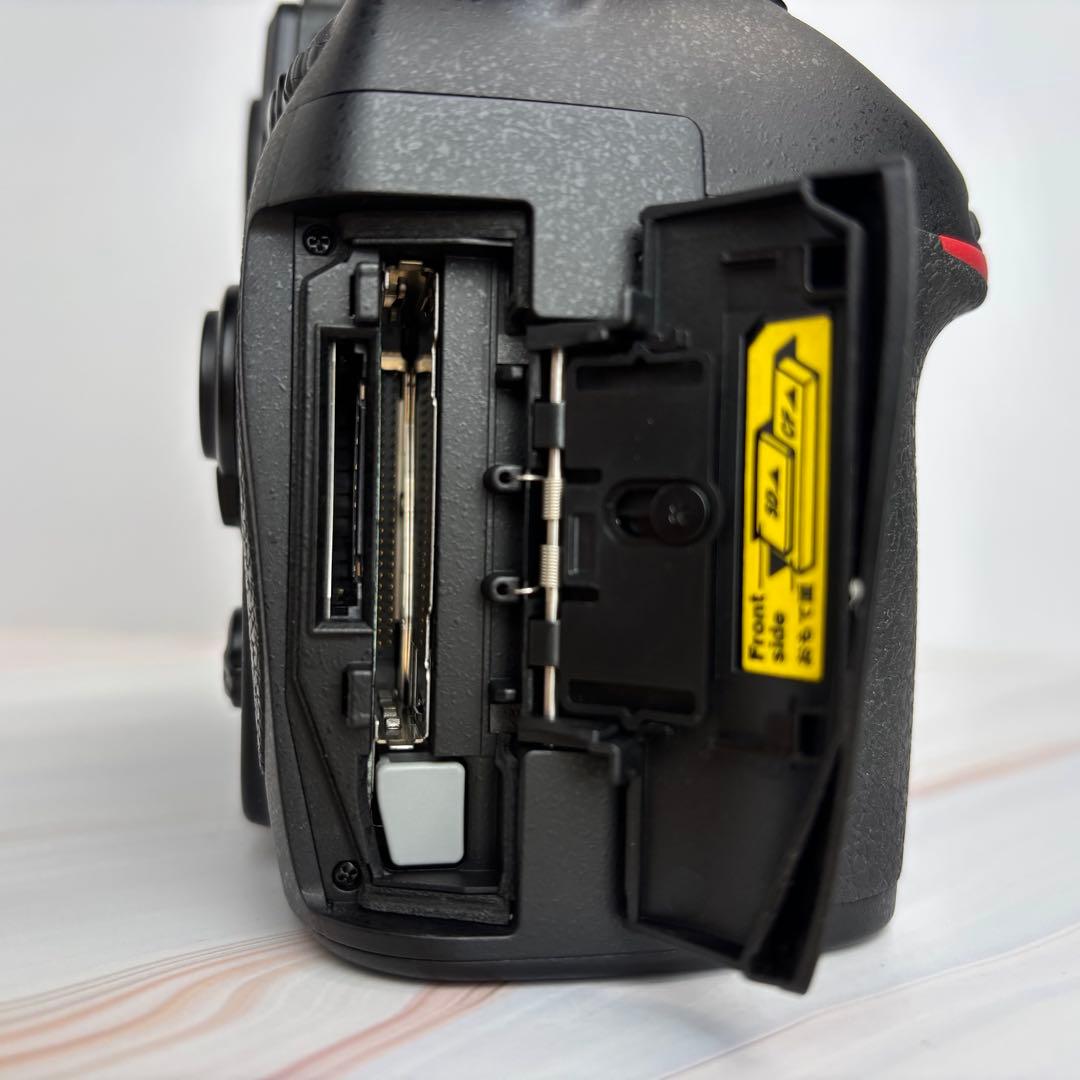 【チョメ山城】Nikon D800 《ショット数2233回》