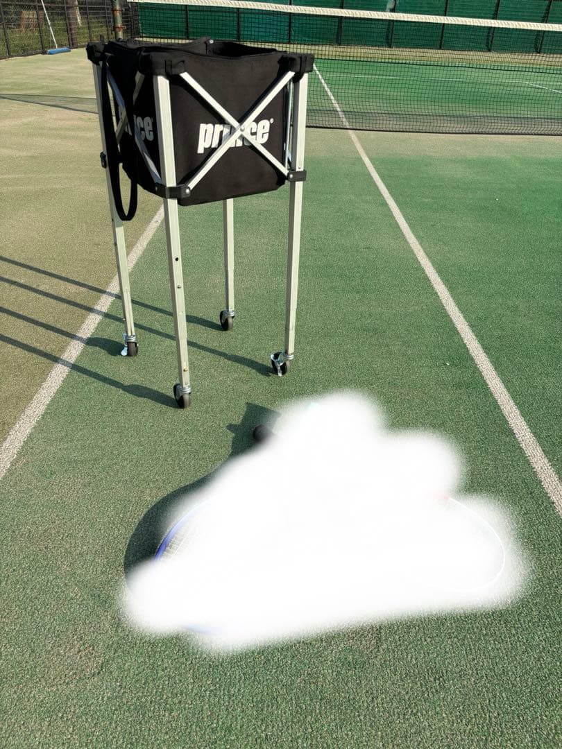 prince カゴ　バスケット