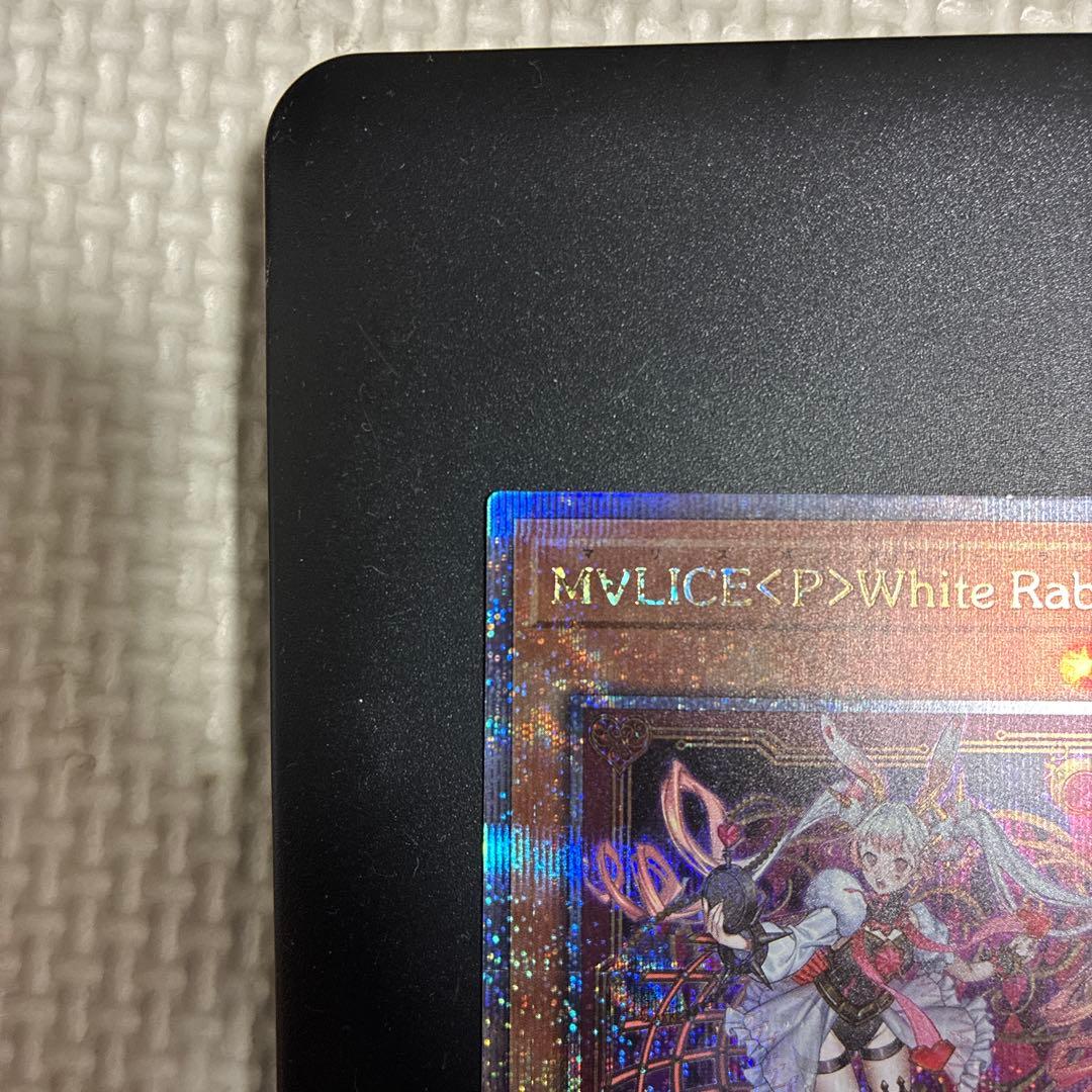 遊戯王　MALICE P　White Rabbit　25thシークレット