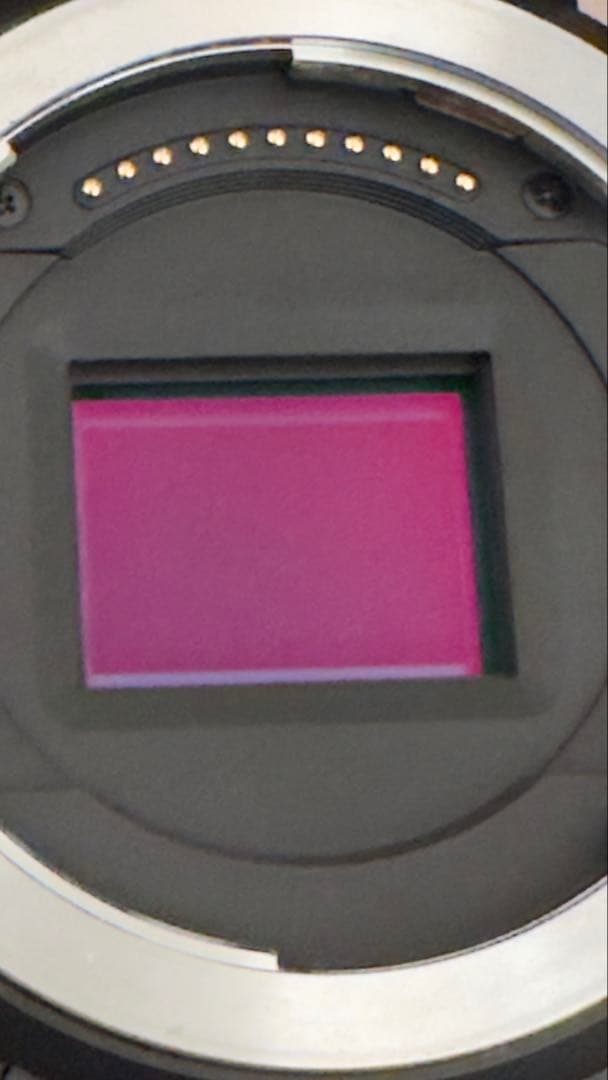 (大幅値下げ中）NikonＺ50 ボディ　おまけ有