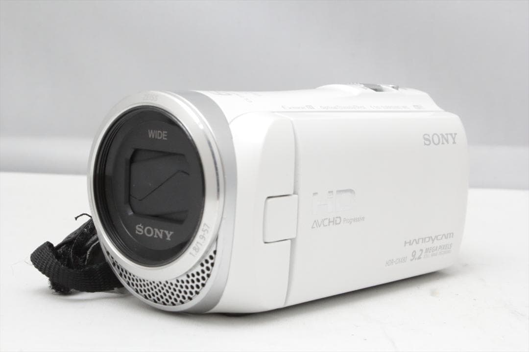 かのデール ！SONY HDR-CX480　ビデオカメラ