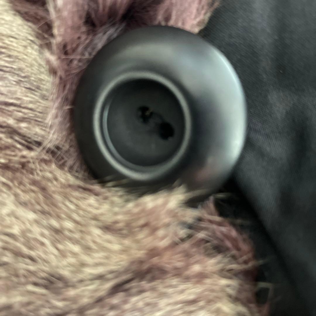 エンバ⭐︎リバーシブル　毛皮コート⭐︎シルク　リス⭐︎美品♪