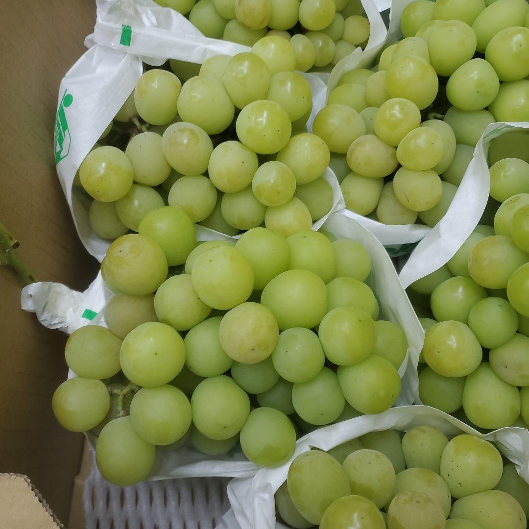 5️⃣ 山梨県産 シャインマスカット７房入り 箱込み5.6キロ