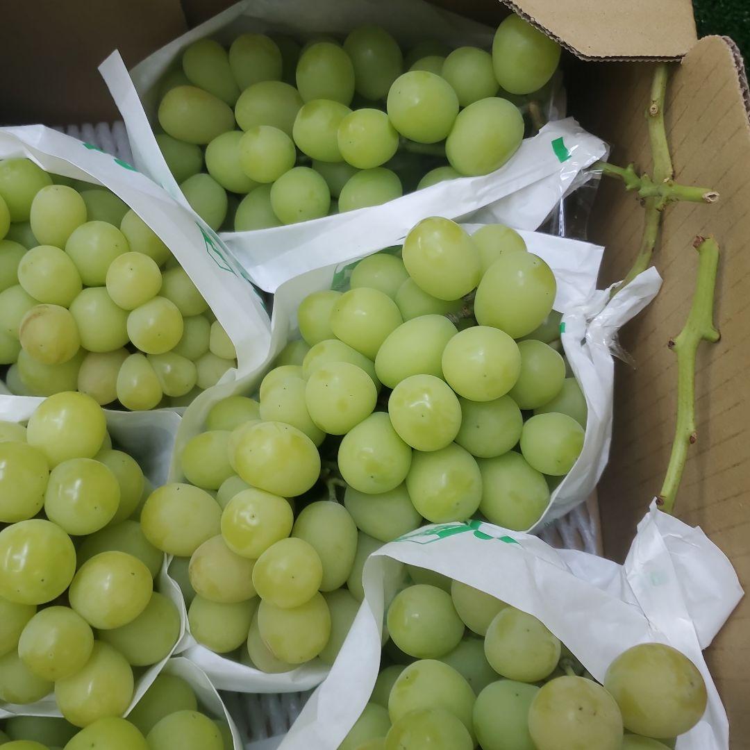 5️⃣ 山梨県産 シャインマスカット７房入り 箱込み5.6キロ