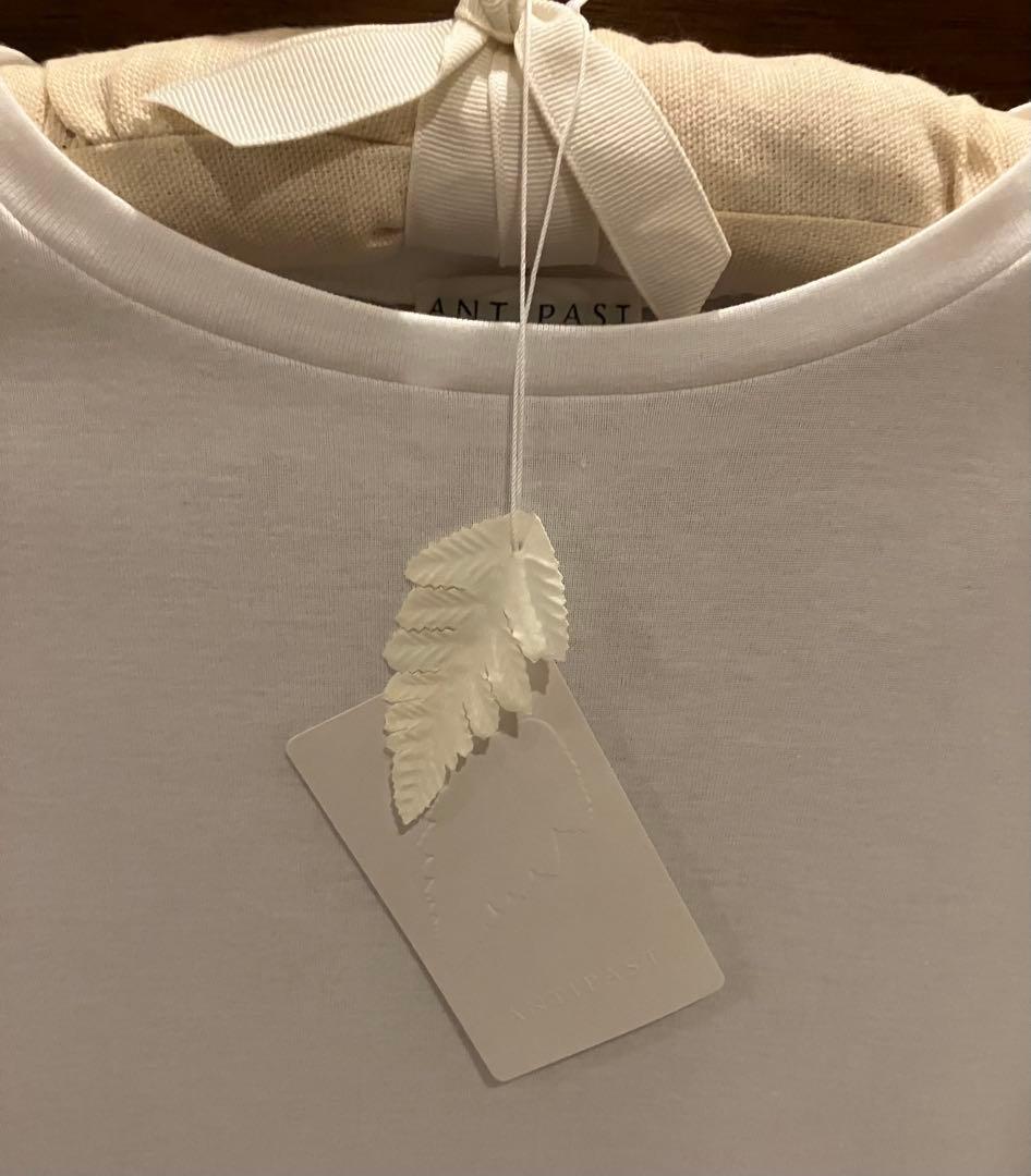[美品] ANTIPAST パフスリーブ カットソー