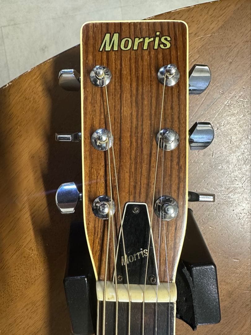 Morris(モーリス) F-20 King Gnu 常田大希氏使用モ