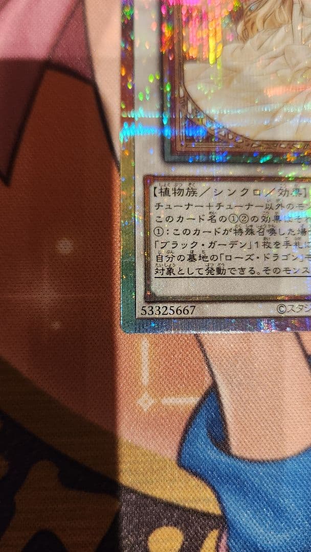 ガーデン・ローズ・メイデン 絵違いプリズマ