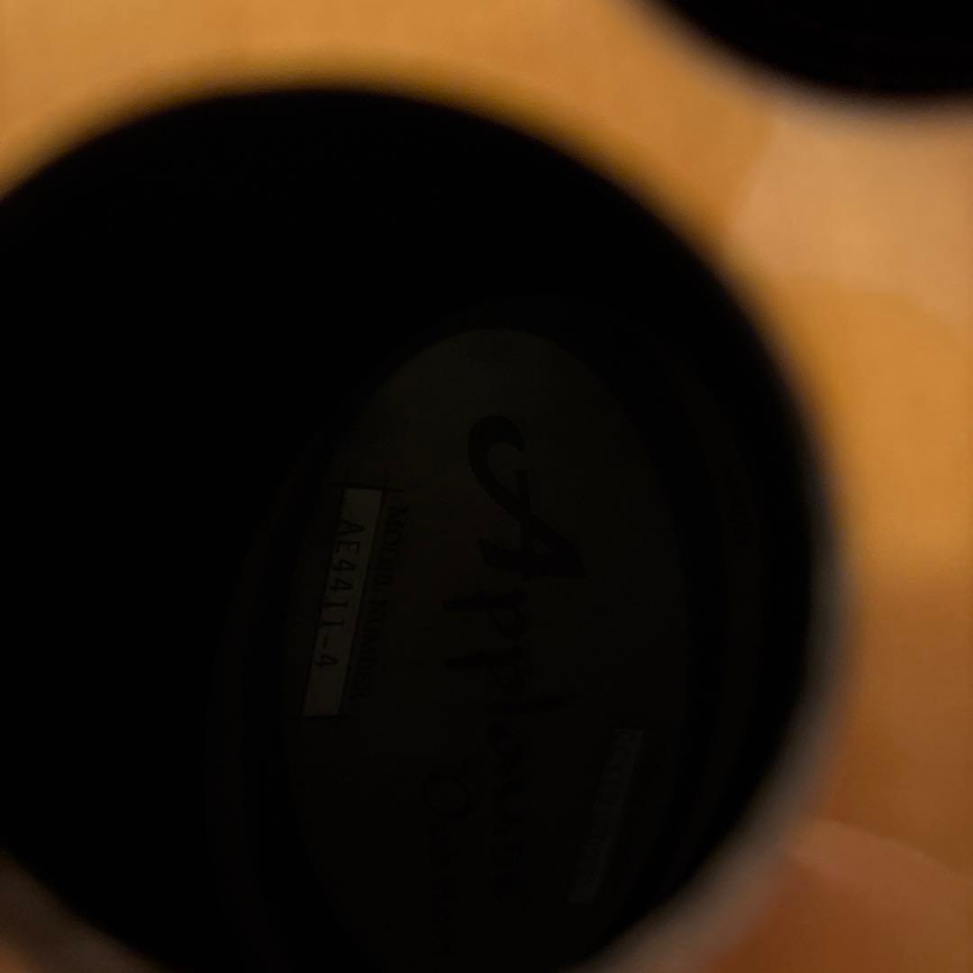 applause エレアコ　シールド一本付属　モガミ