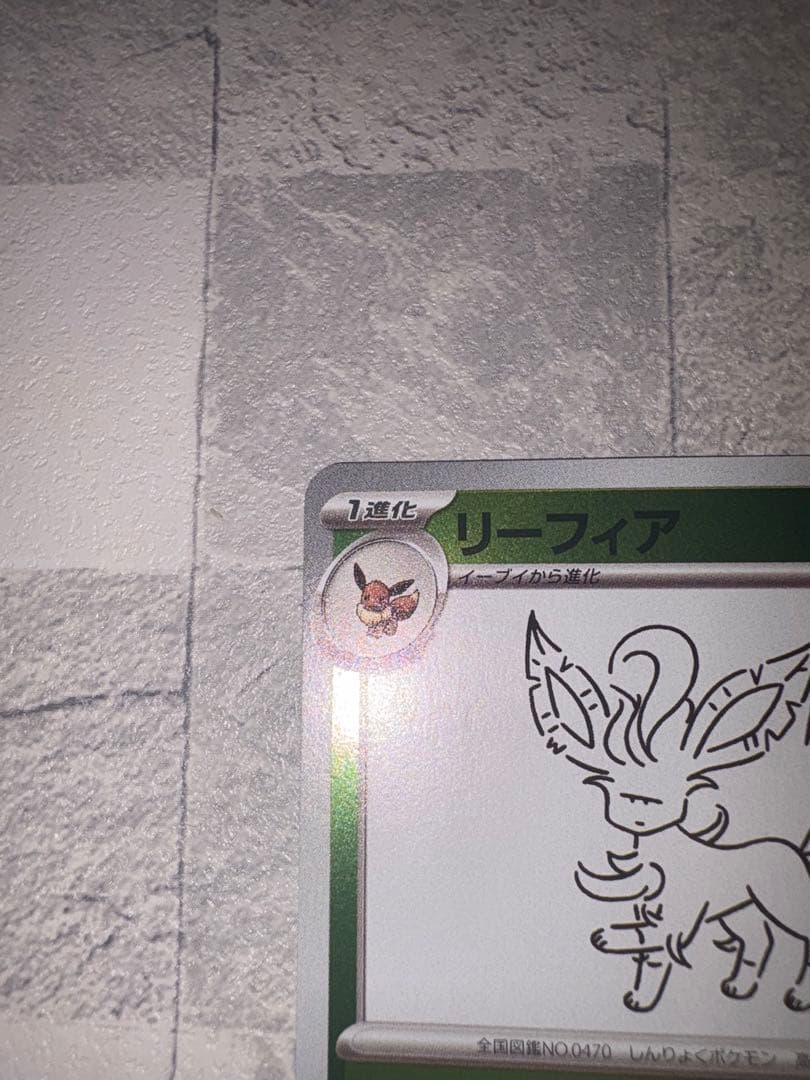 リーフィア　NAGABAプロモ