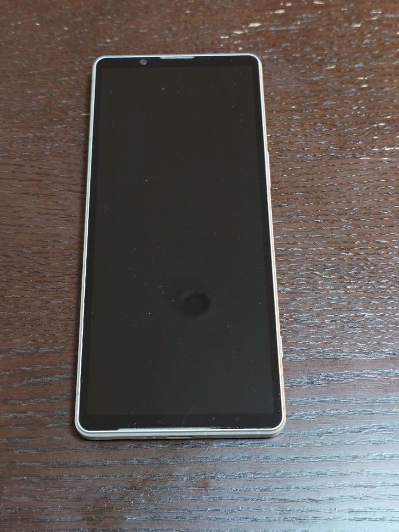 SONY Xperia 5 Ⅴ　256GB XQ-DE44
