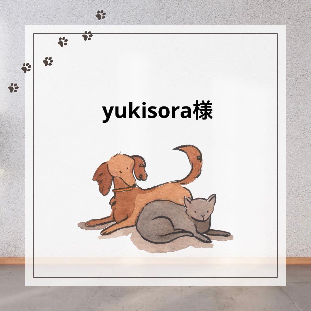 yukisora様