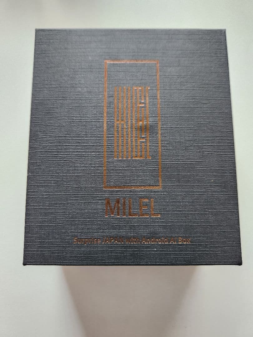 MILEL AI BOX MB-201 ミレル