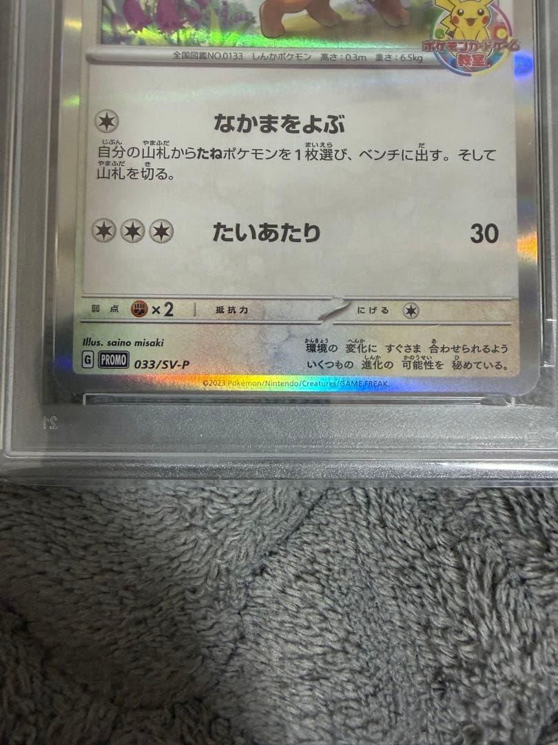 イーブイ ポケモンカード教室 イーブイ PSA10