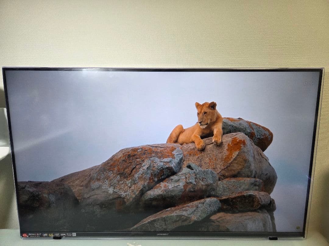 43インチ 4K IPSディスプレイ