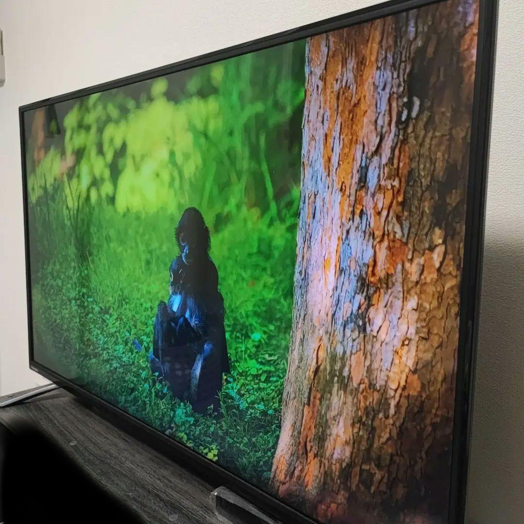 TOSHIBA REGZA 43C310X レグザ 43インチ 4K 美品