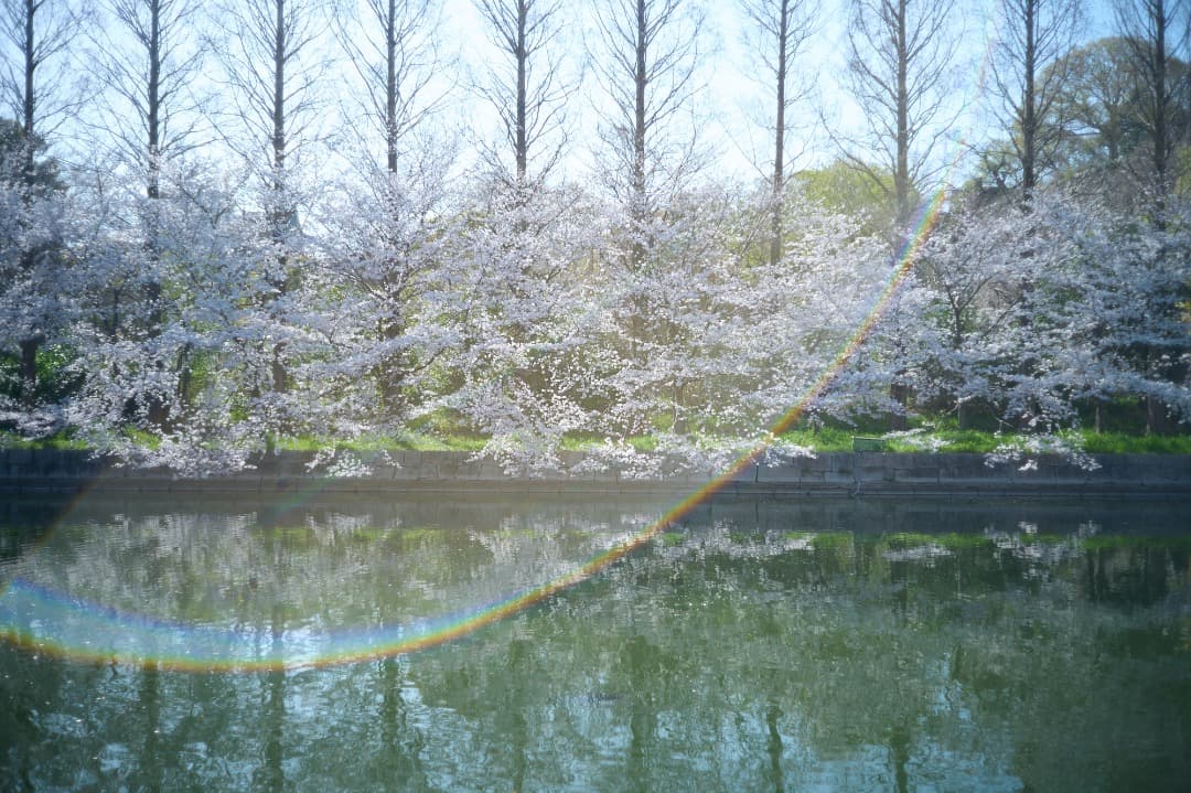 レンズ(単焦点) MINOLTA M-ROKKOR 40mm f2