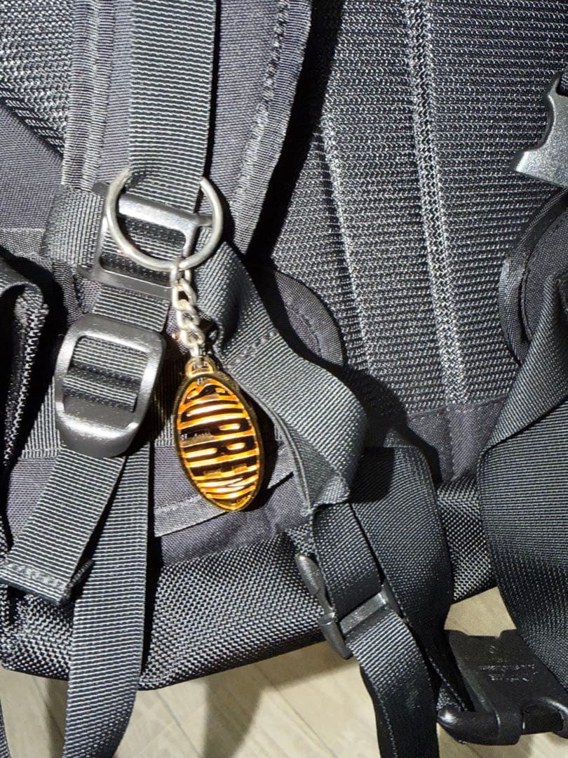 バッグ Supreme18FWThe NorthFace Expedition