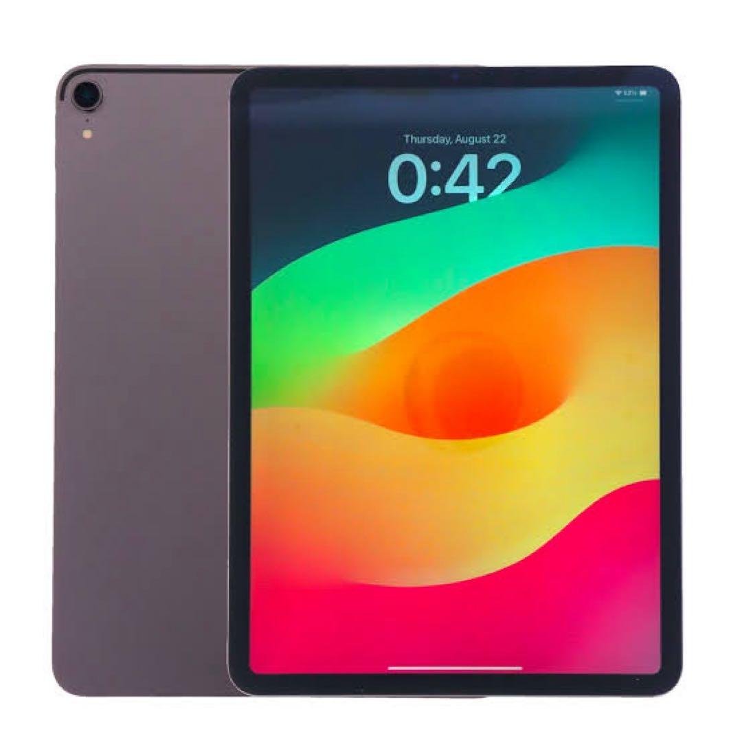 【極美品】iPad Pro 11 1世代 Wi-Fi 256GB グレイ　ペン付