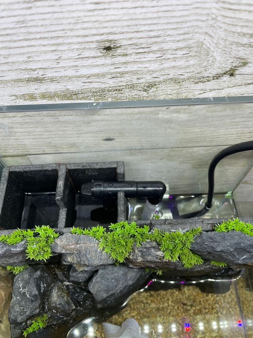 アクアテラリウム　No.6、NO.2セット