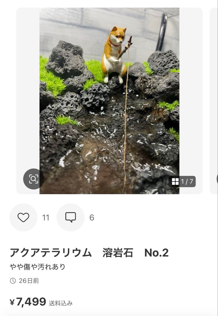 アクアテラリウム　No.6、NO.2セット