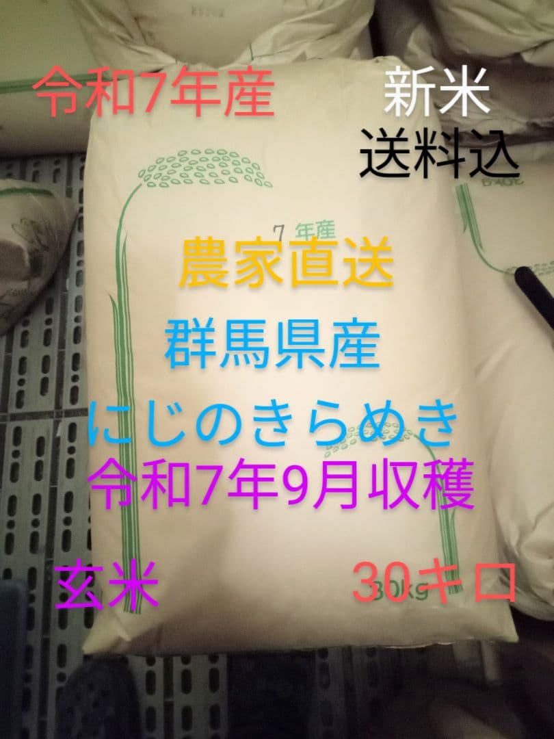 R7年産 新米 群馬県産 にじのきらめき 30キロ 玄米 送料込 30kg ①