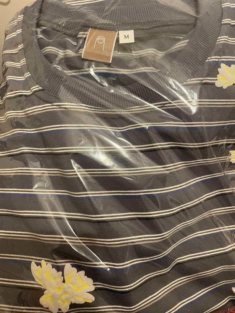 kaneko ayano ロンT